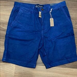 🆕American Eagle Outfitters Men's Blue Shorts Size 35